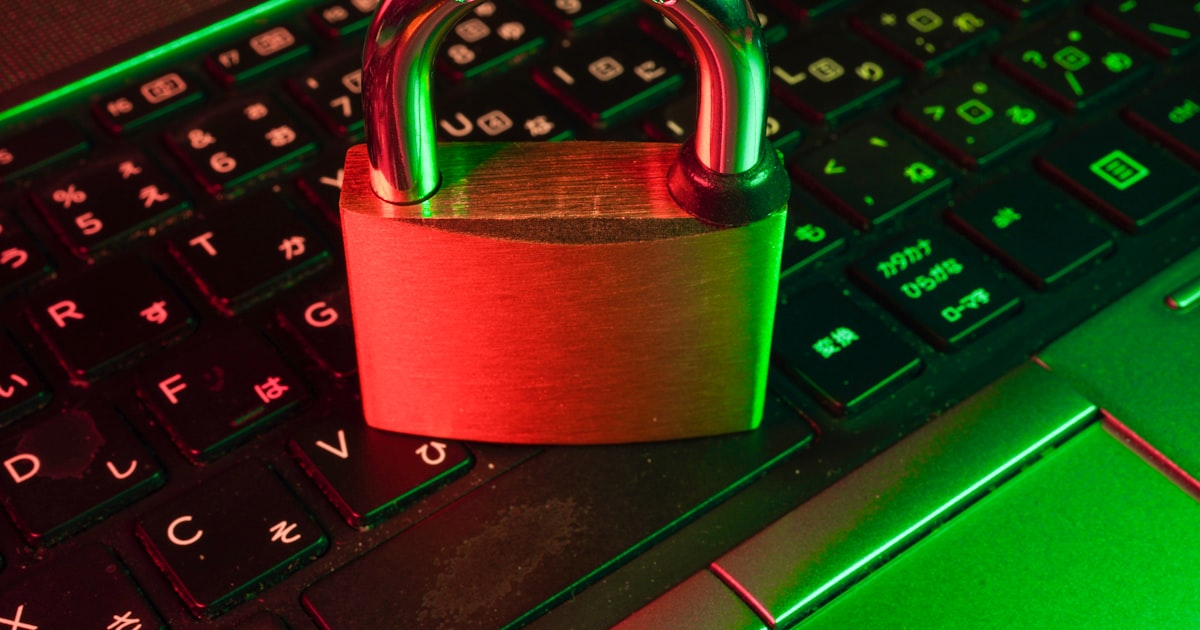 Website Security 101: SSL, Backups and Staying Safe Online